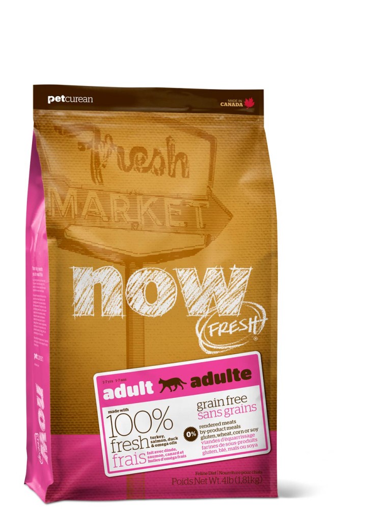 Using Expired Cat Food Using Expired Cat Food