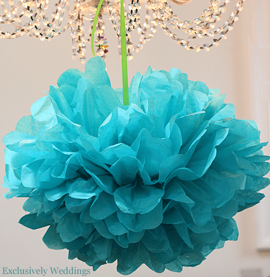 tissue poms