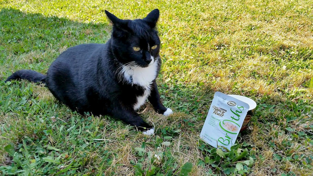 fancy feast broths