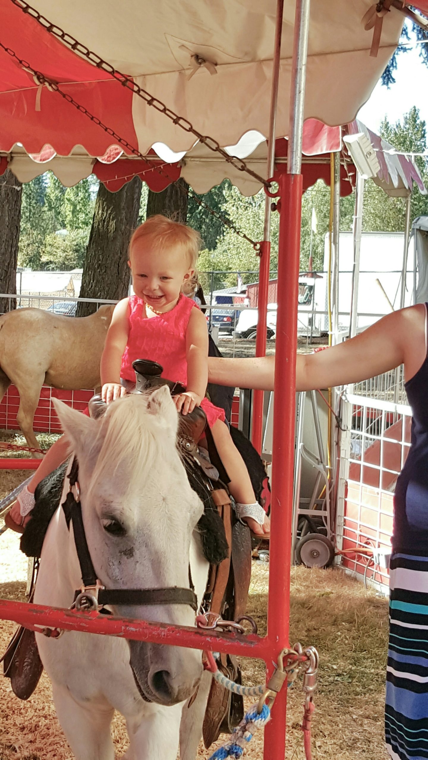 2 Days of Fun at the Clark County Fair in Ridgefield, WA