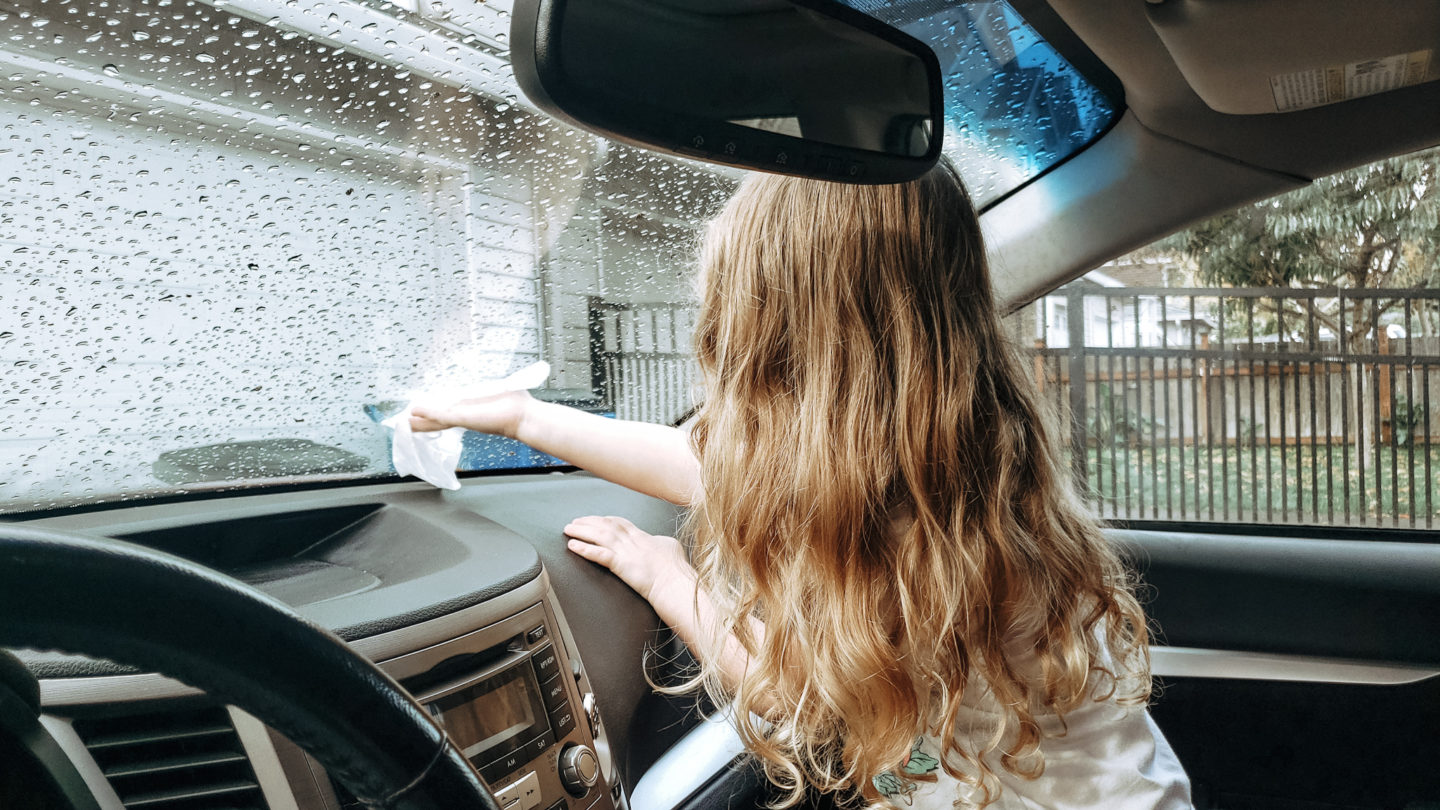 Skip the Car Detailing and Grab Armor All Wipes!