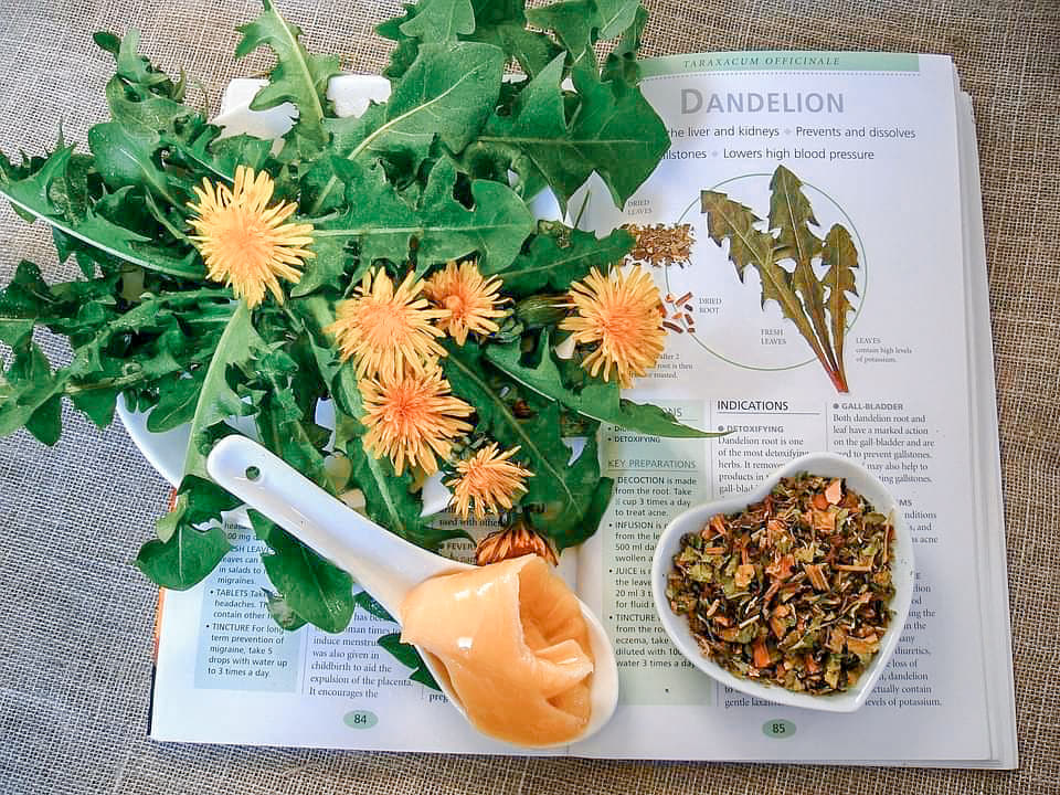 5 Reasons Why Dandelions Are More Than a Weed + Recipes
