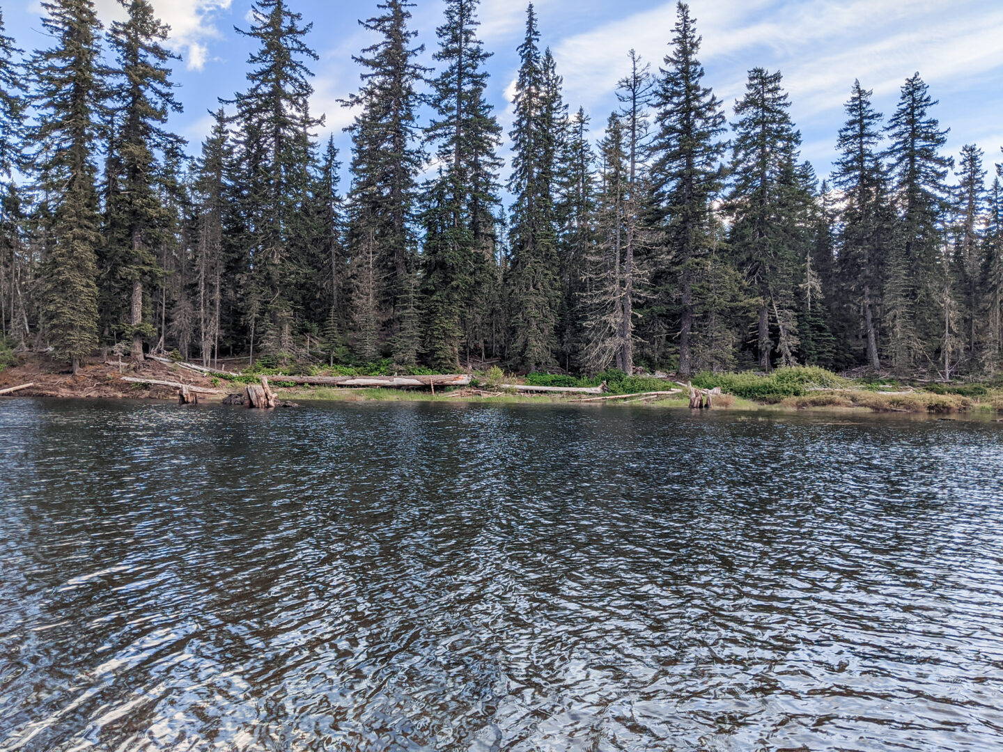 Goose Lake, Wa campgrounf